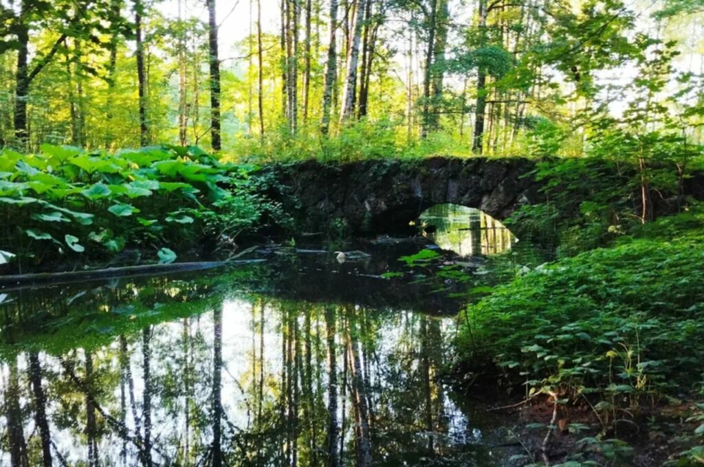 Английский парк в Петергофе